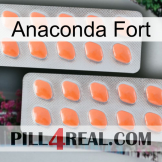 Anaconda Strong 27